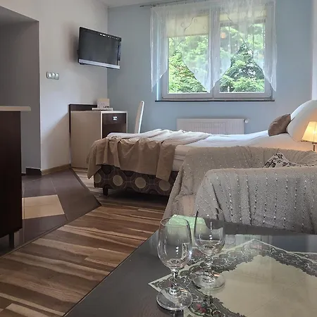 Willa Jagiellonka Apartamenty W Centrum, Parking Закопане