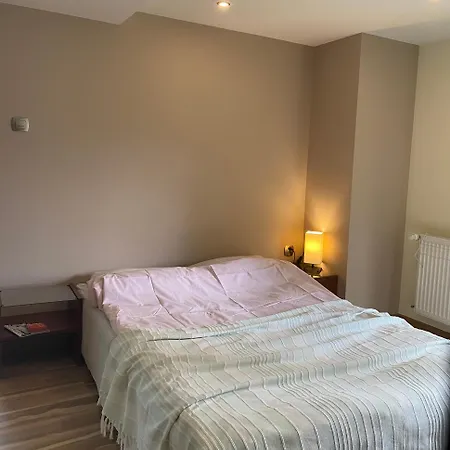 Willa Jagiellonka Apartamenty W Centrum, Parking Закопане