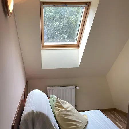 Апартаменты Willa Jagiellonka Apartamenty W Centrum, Parking *