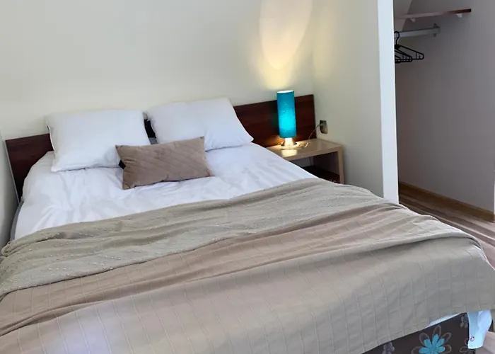 公寓 Jagiellonka Centrum Blisko Termy I Dworzec 扎科帕内