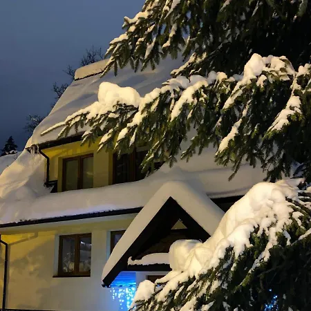 Willa Jagiellonka Centrum Blisko Termy I Dworzec * Zakopane