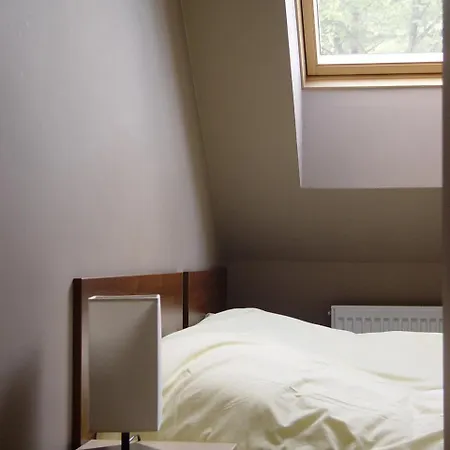 Willa Jagiellonka Apartamenty W Centrum, Parking Zakopane