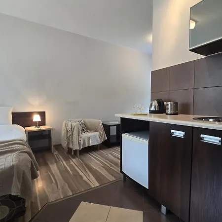 Jagiellonka Centrum Blisko Termy I Dworzec アパート ザコパネ