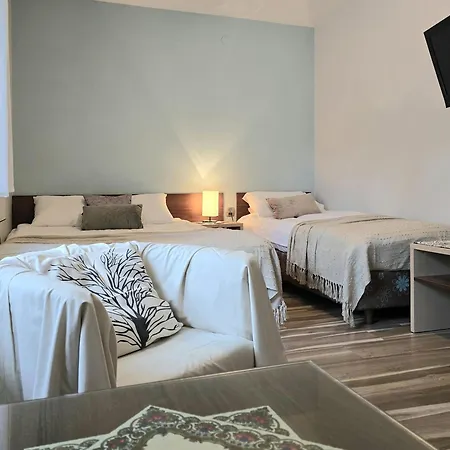 Jagiellonka Centrum Blisko Termy I Dworzec ザコパネ