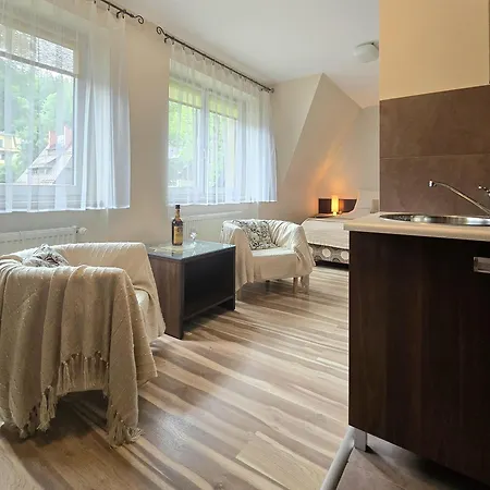 Willa Jagiellonka Centrum Blisko Termy I Dworzec Apartment *