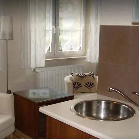 Jagiellonka Centrum Blisko Termy I Dworzec * ザコパネ